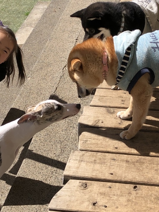 b0369239_18240180.jpeg