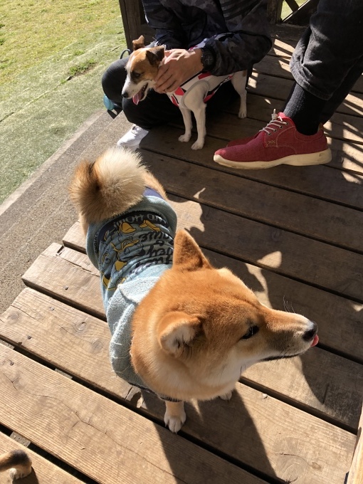 b0369239_18241414.jpeg