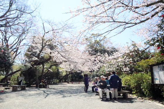 外出レク　～ 2019 お花見週間♪② ～_e0222340_14483926.jpg