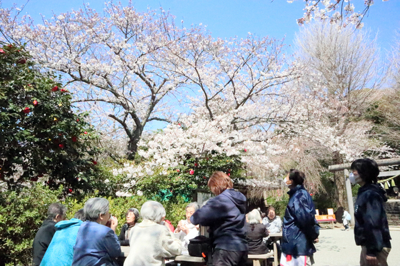 外出レク　～ 2019 お花見週間♪② ～_e0222340_14502568.jpg