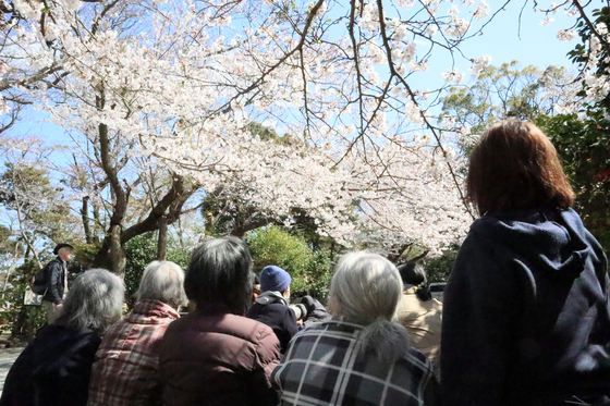 外出レク　～ 2019 お花見週間♪② ～_e0222340_1450368.jpg