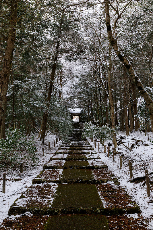 雪の京都　常照皇寺の雪の華_f0155048_23514113.jpg