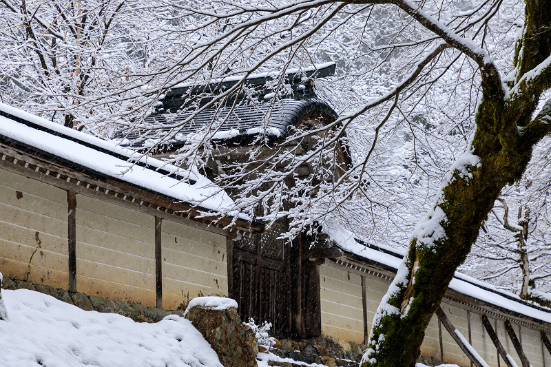雪の京都　常照皇寺の雪の華_f0155048_23532244.jpg