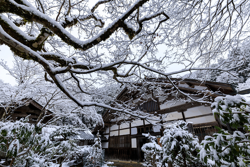 雪の京都　常照皇寺の雪の華_f0155048_23541216.jpg