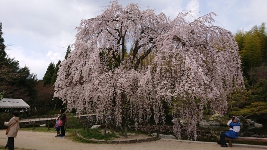 c0328559_17261618.jpg