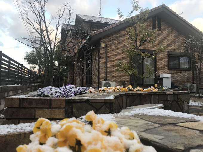 四月の雪_b0100062_02155901.jpeg