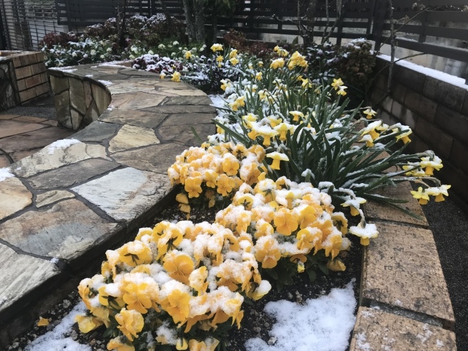 四月の雪_b0100062_02162491.jpeg