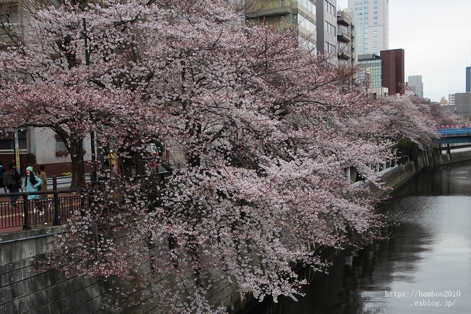 a0157968_16024061.jpg