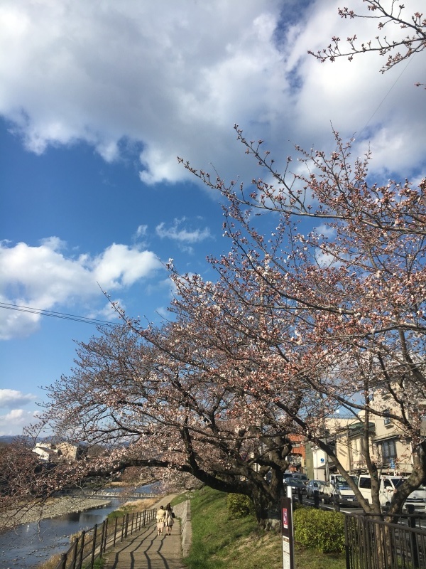 f0363168_21031730.jpeg