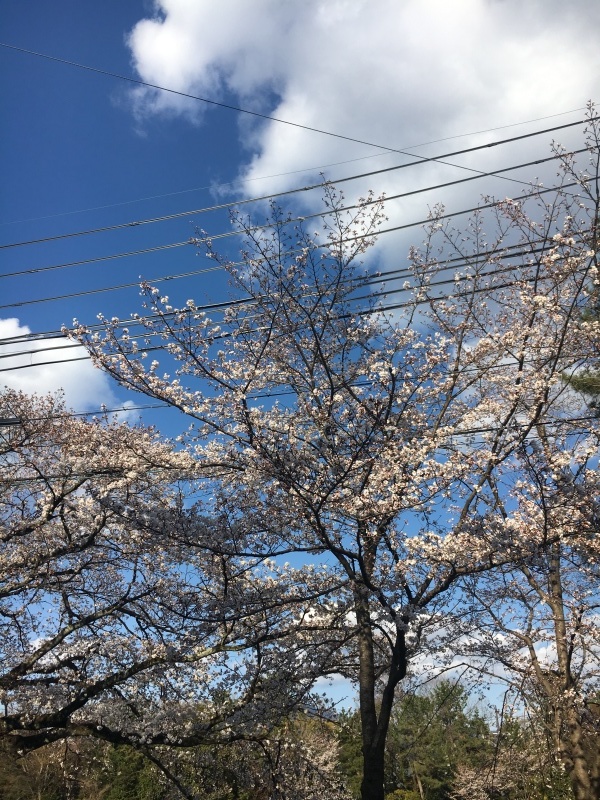 f0363168_21035727.jpeg