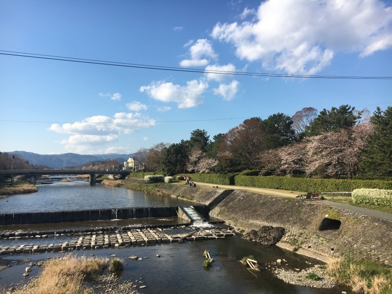 f0363168_21041734.jpeg