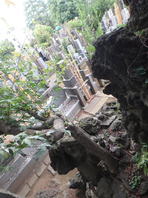 雑司ヶ谷霊園・護国寺墓地芳墓録ラスト、皇居ほか花見、古写真、2019/3/29-4/3twitterまとめ_b0116271_13524864.jpg
