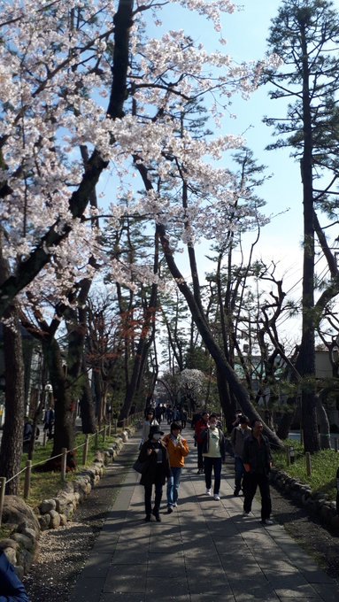 雑司ヶ谷霊園・護国寺墓地芳墓録ラスト、皇居ほか花見、古写真、2019/3/29-4/3twitterまとめ_b0116271_14084301.jpg