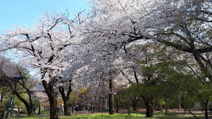 雑司ヶ谷霊園・護国寺墓地芳墓録ラスト、皇居ほか花見、古写真、2019/3/29-4/3twitterまとめ_b0116271_14084416.jpg