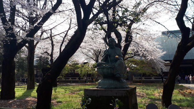 雑司ヶ谷霊園・護国寺墓地芳墓録ラスト、皇居ほか花見、古写真、2019/3/29-4/3twitterまとめ_b0116271_15011948.jpg