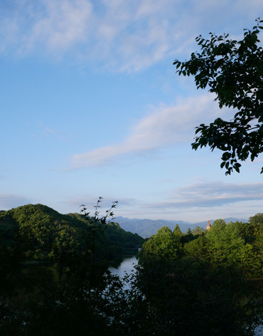 b0086273_17274545.jpg
