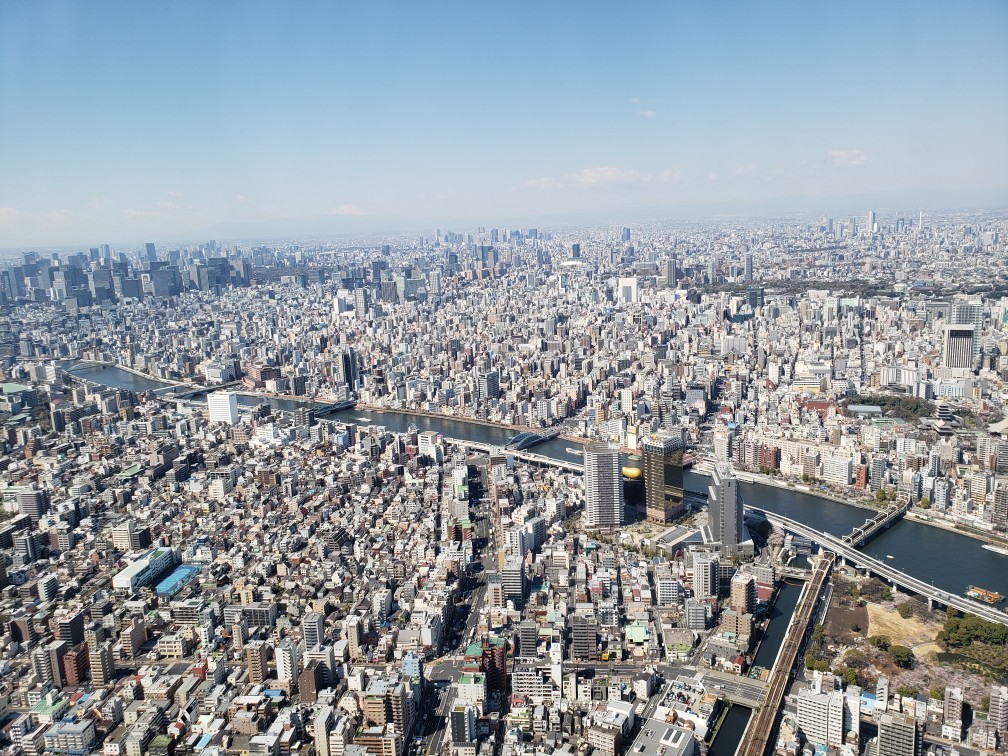 東京見物ツアー_c0160277_00133469.jpg