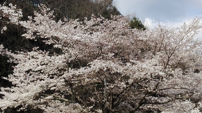 a0199979_21012536.jpg