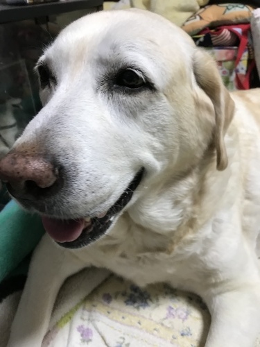 f0315081_22170670.jpeg