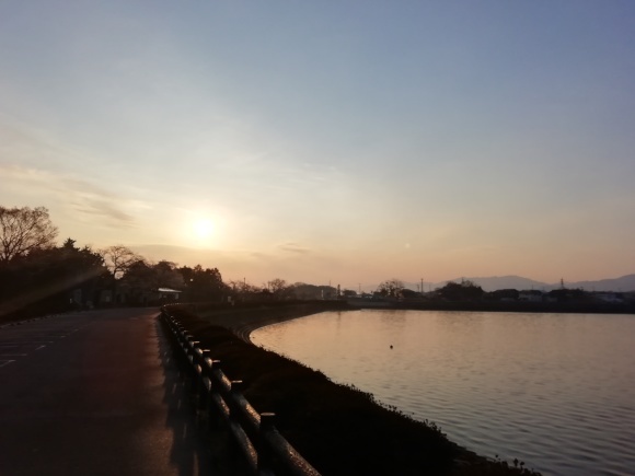 高松から徳島池田市 9日目_c0212083_17283183.jpg