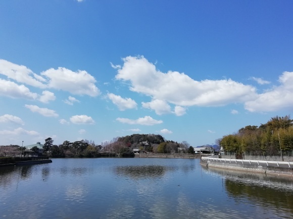 高松から徳島池田市 9日目_c0212083_17310466.jpg
