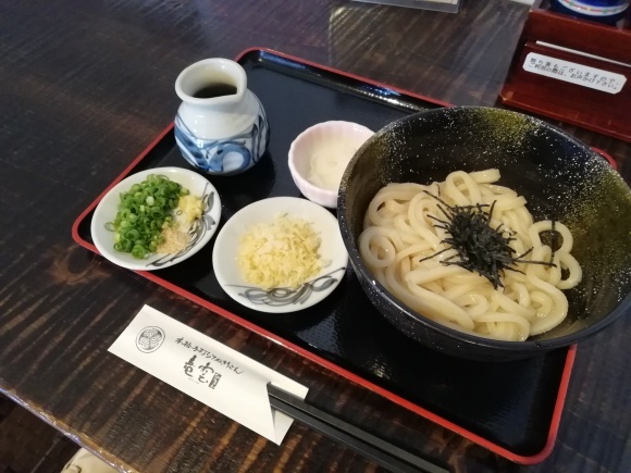 高松から徳島池田市 9日目_c0212083_17315249.jpg