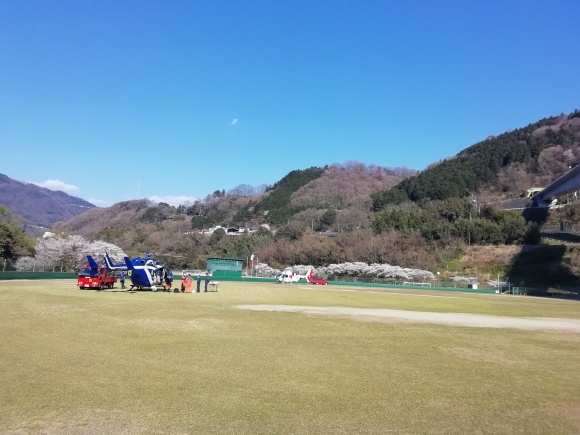 高松から徳島池田市 9日目_c0212083_17351247.jpg