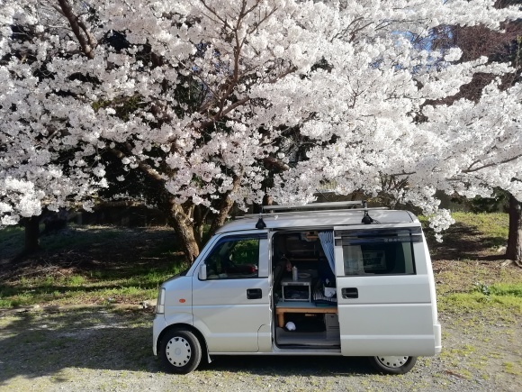 高松から徳島池田市 9日目_c0212083_17360895.jpg