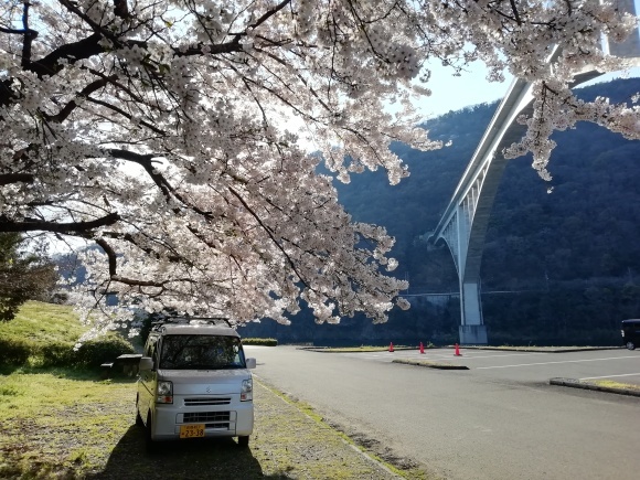高松から徳島池田市 9日目_c0212083_17363101.jpg