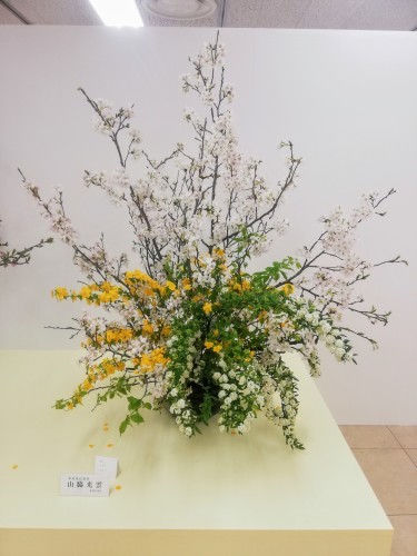 西日本華道連盟いけばな展_d0195183_21562853.jpg