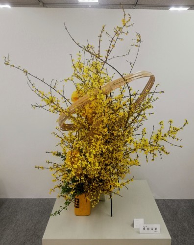 西日本華道連盟いけばな展_d0195183_22011422.jpg