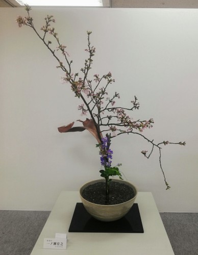 西日本華道連盟いけばな展_d0195183_22023814.jpg