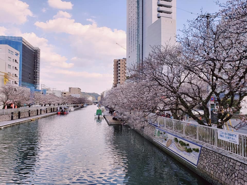 c0186691_10285721.jpg