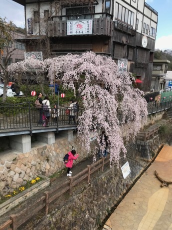 d0212993_19561183.jpeg