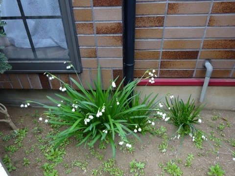 c0322794_22462462.jpg