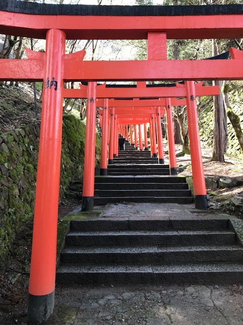 城崎へ 出石の桜_f0204295_13575266.jpg