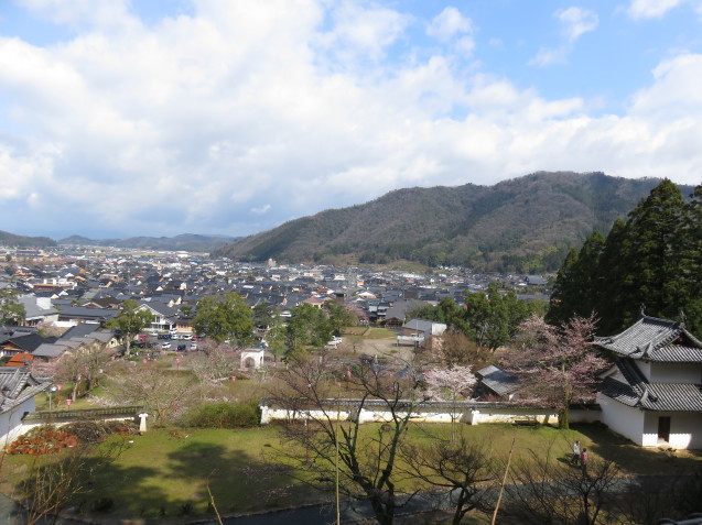 城崎へ 出石の桜_f0204295_14104361.jpg