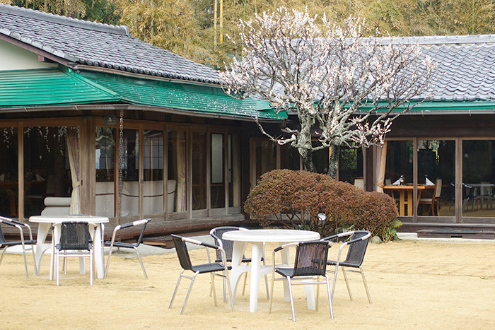 満開の桜を眺めながら至福のランチ ローストビーフ鎌倉山本店_b0145398_23593143.jpg