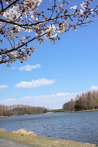 c0090198_18324686.jpg