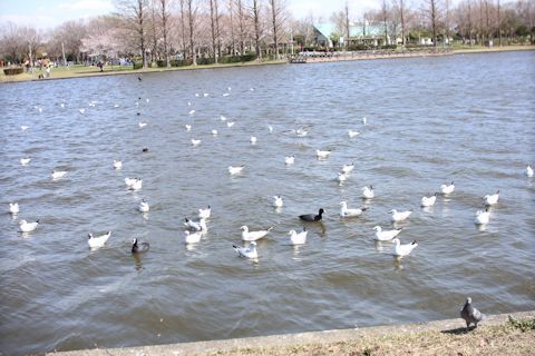 c0090198_18344758.jpg