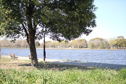 c0090198_18405055.jpg