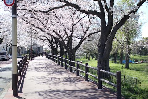 c0090198_18431971.jpg
