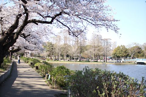 c0090198_18442440.jpg