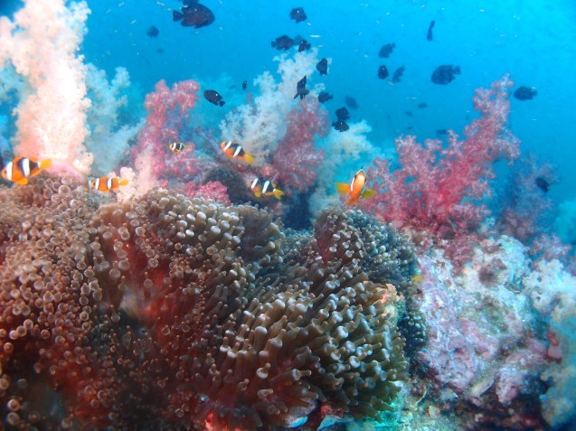 e0115199_21015080.jpg