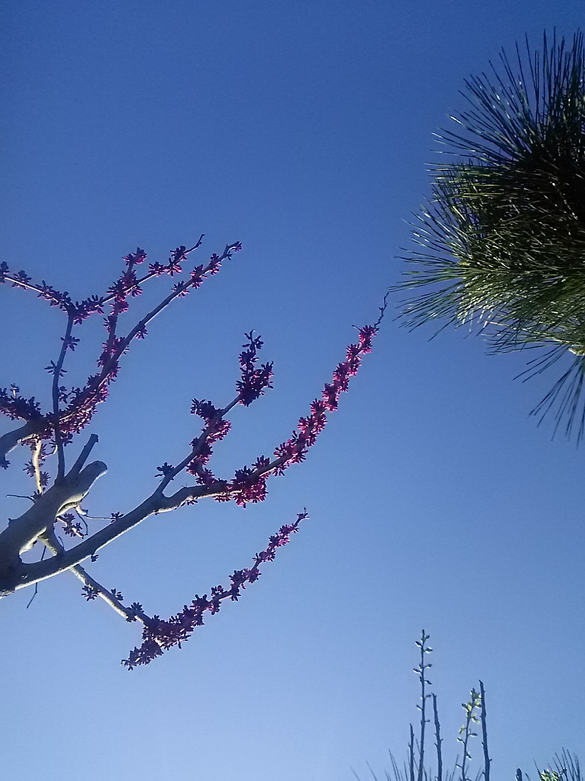 f0024708_18385244.jpg