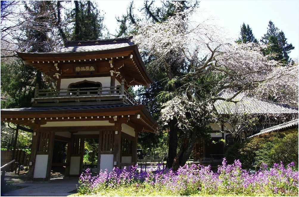 鎌倉へ・・・_c0352813_11030762.jpg