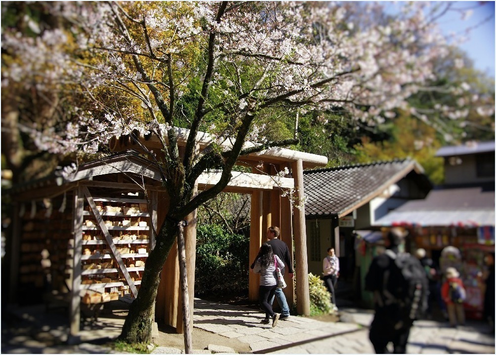 鎌倉へ・・・_c0352813_11034416.jpg