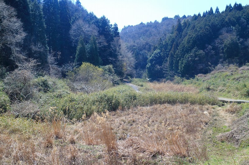 e0106724_18271332.jpg