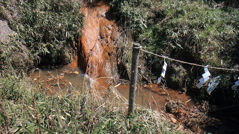 修理枝の化粧壺　2019年04月04日_e0106724_18275661.jpg