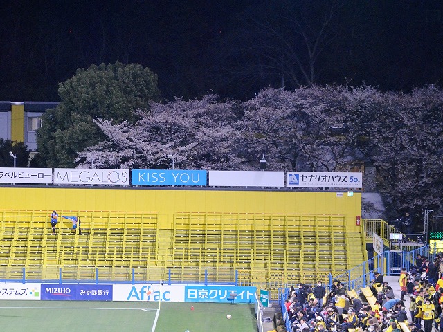 b0000829_858840.jpg
